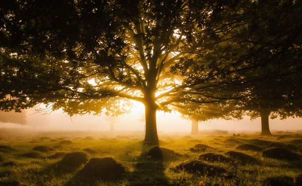 /Magazine/2022/January/02-01-2022_Finetune your focus with this grounding meditation.jpg